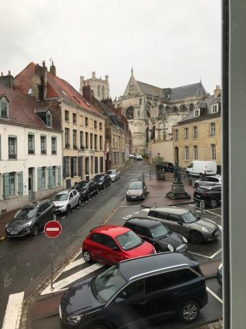 Les Dames Au Chapeau Vert Saint-Omer  Zewnętrze zdjęcie
